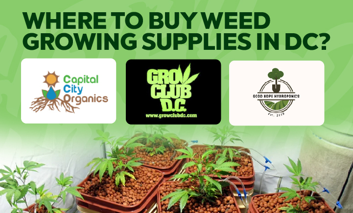 Where to buy wed growing supplies in DC